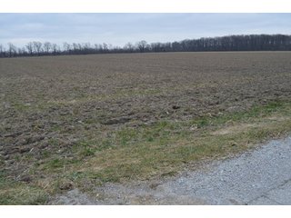 Property photo 19 - 175 Acres Offered in 5 Tracts - Tontogany, Ohio Farm Land Auction